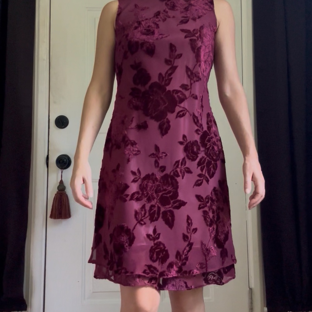 Vintage 90s Whimsigoth Burnout Velvet Dress - Picture 13 of 15